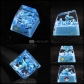 Dropshipping Eevee Series of Pokemon Artisan Resin Keycaps ESC SA Profile MX for Mechanical Gaming Keyboard